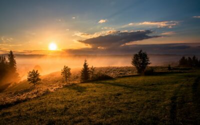 Near-infrared light: the invisible, yet healing, half of sunlight